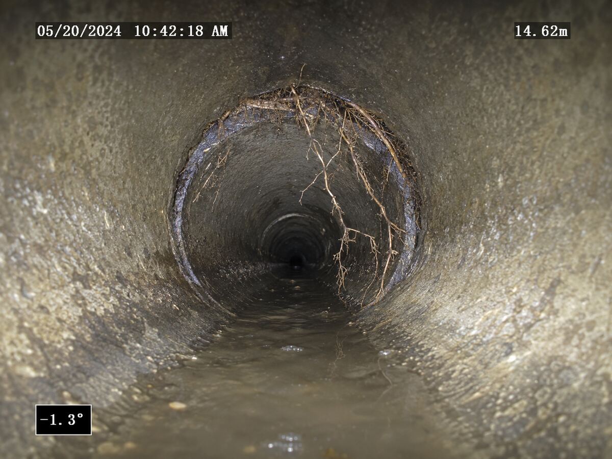 Drain camera still showing root intrusion at a pipe joint